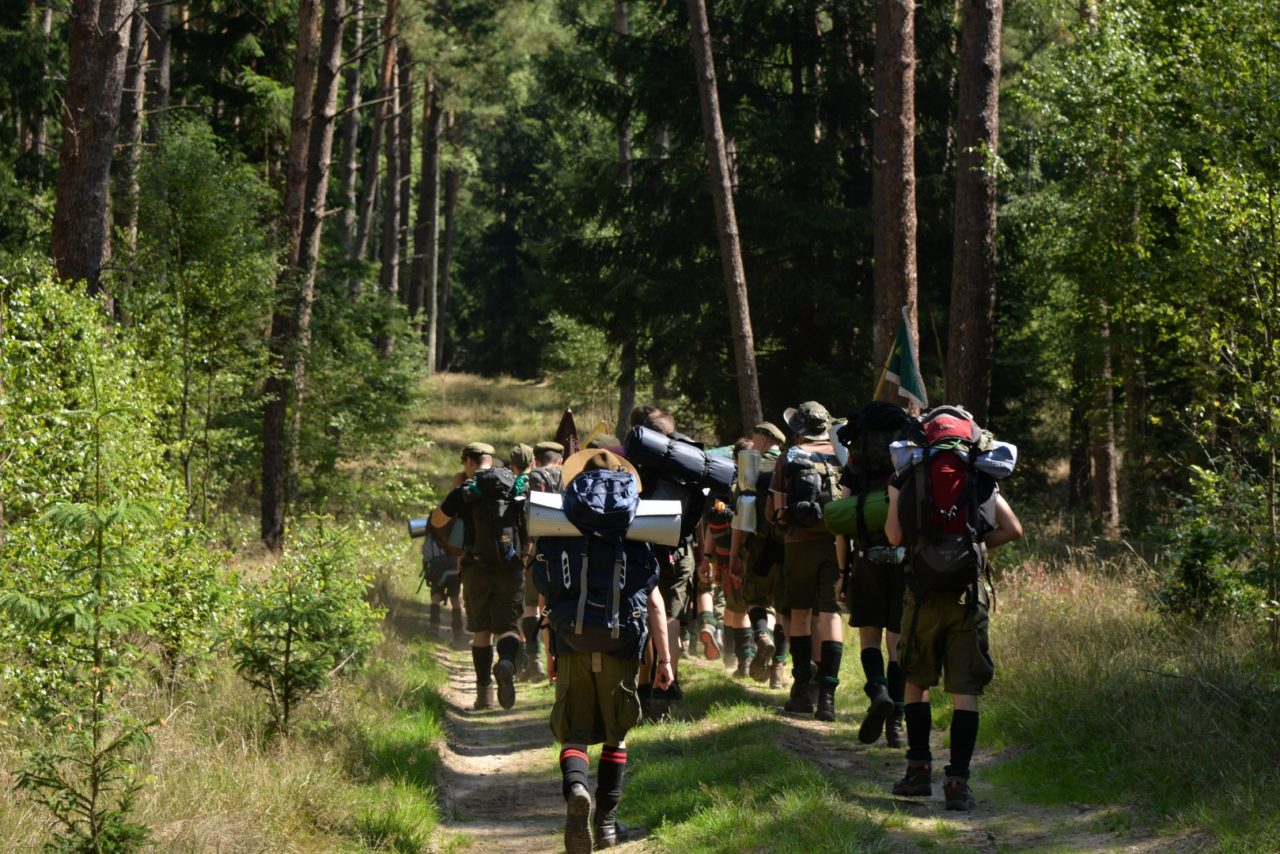 Leśny Dzień image1318 (Kopiowanie)